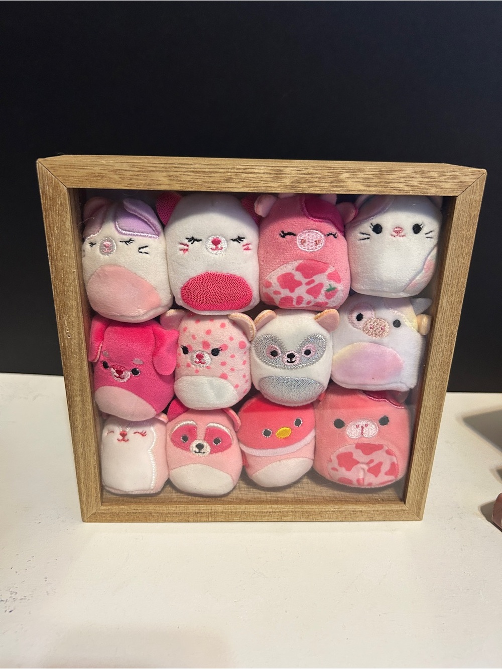 Squishmallows Pink Plush Mini Pets Collection